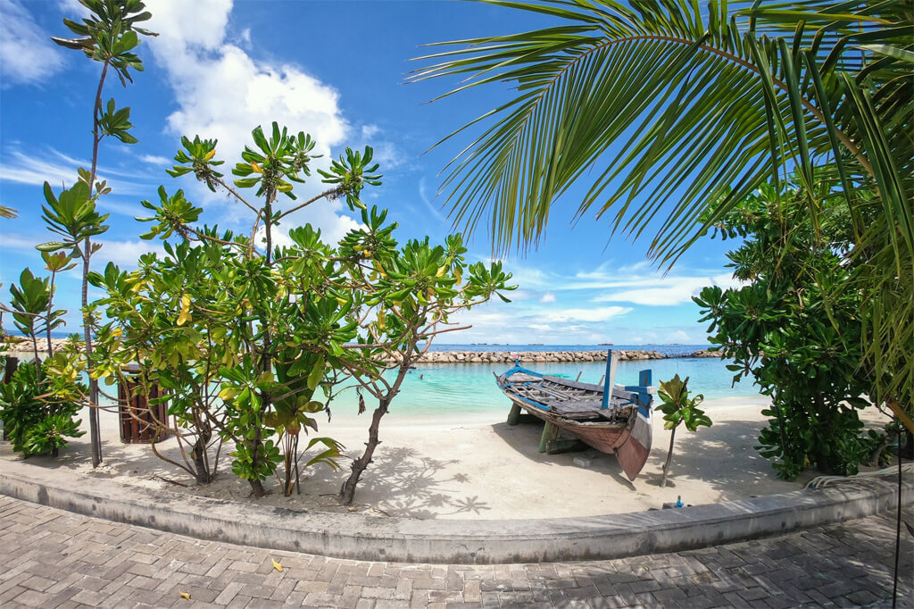 Local Island Visit